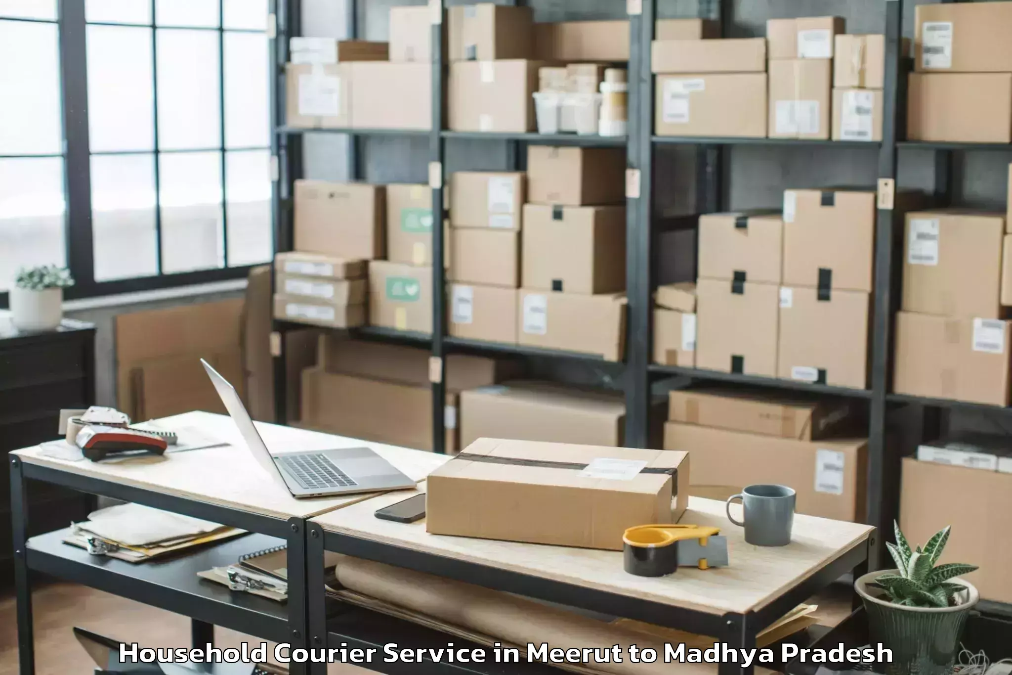 Top Meerut to Bina Household Courier Available